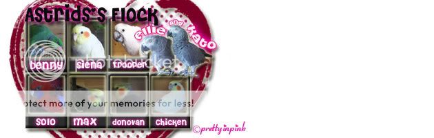 Posted Image