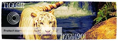 a6db424c-2ddc-4022-9a45-0f3cd595f963_zps