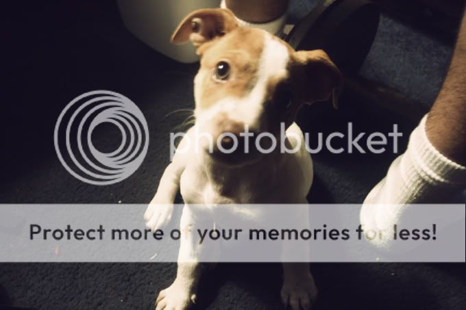 Photobucket
