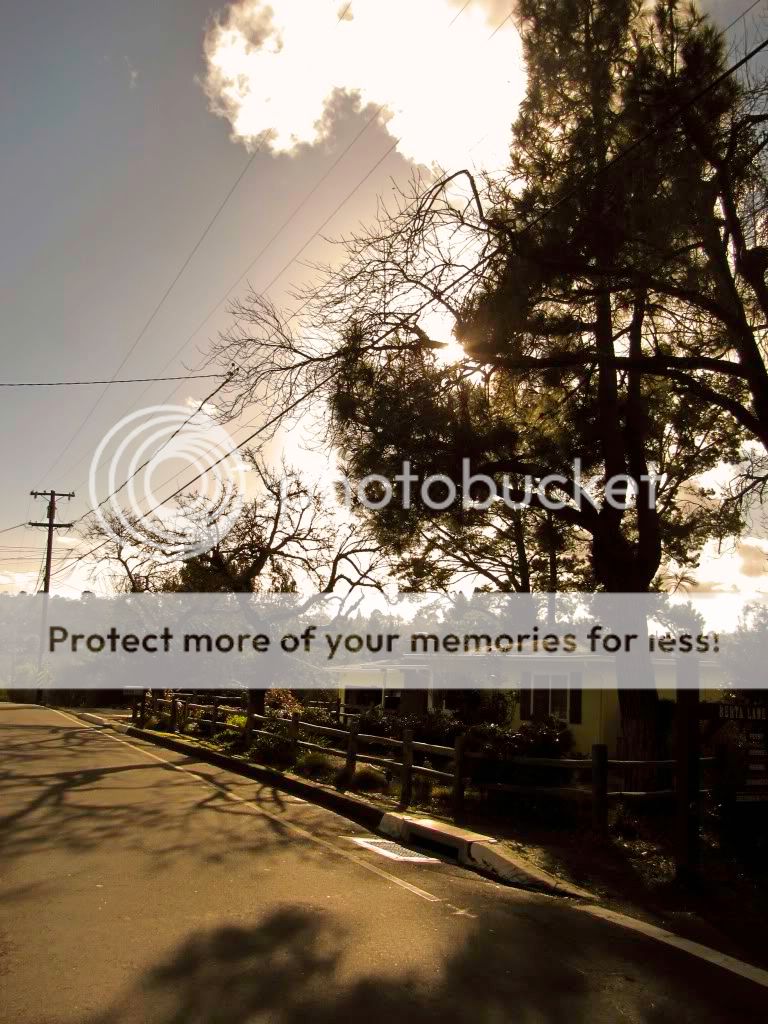 A Street with a View Pictures, Images and Photos