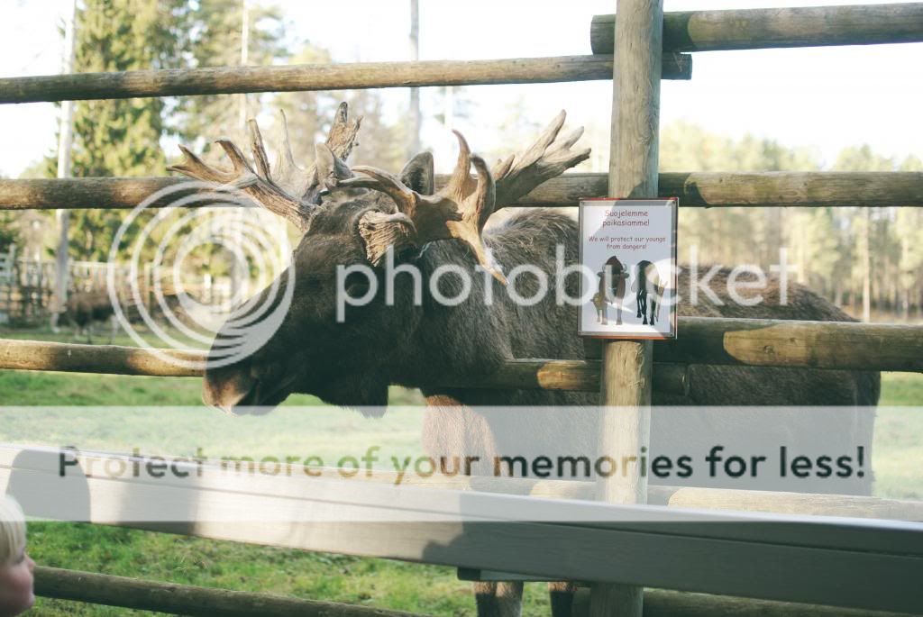 photo aumlhtaumlrimuok15_zpse0f38073.jpg