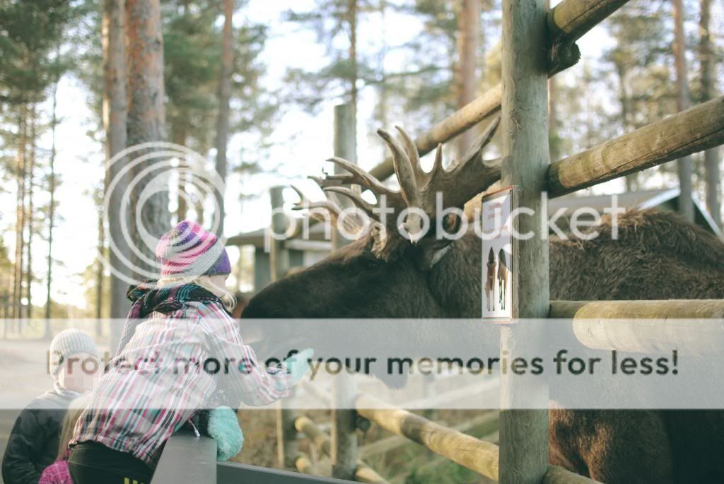 photo aumlhtaumlrimuok16_zps7f3bd43c.jpg