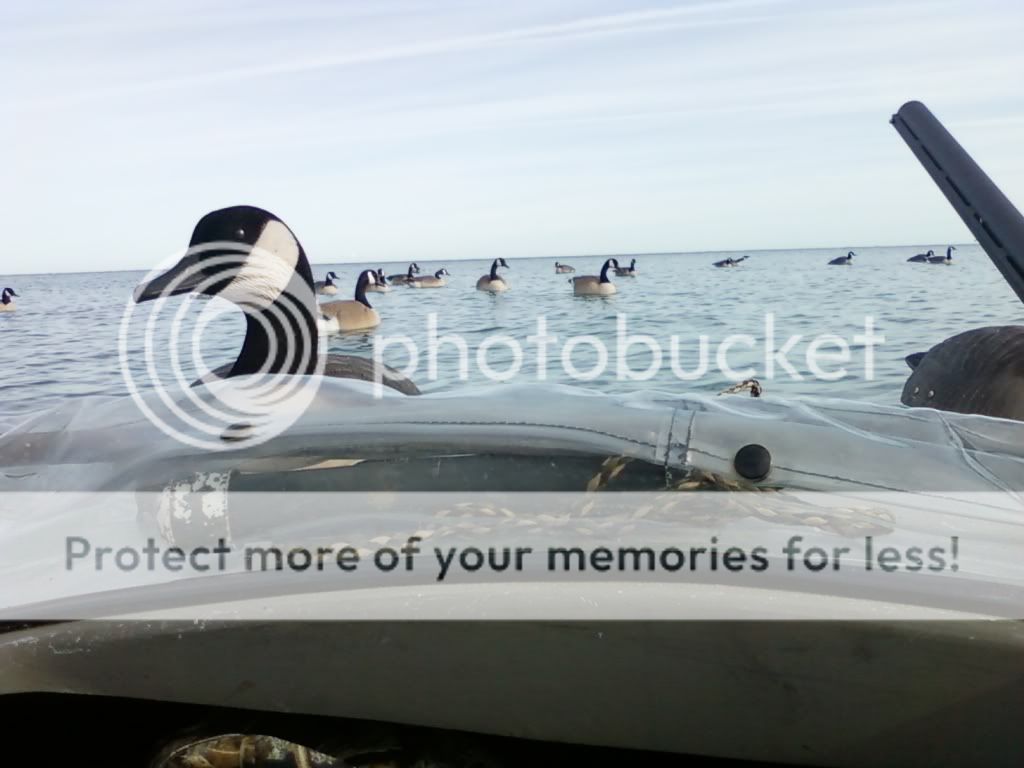 layout boat for geese decoys on layout boat refuge forums layout boat for geese decoys on layout boat refuge forums