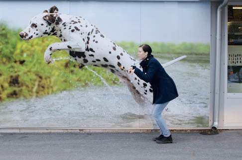photo Untitled1_zpse137f612.gif