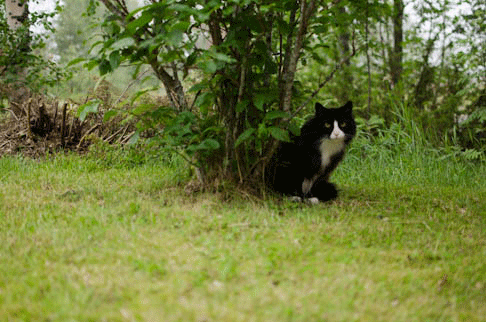 photo Untitled4_zpsc78e590c.gif