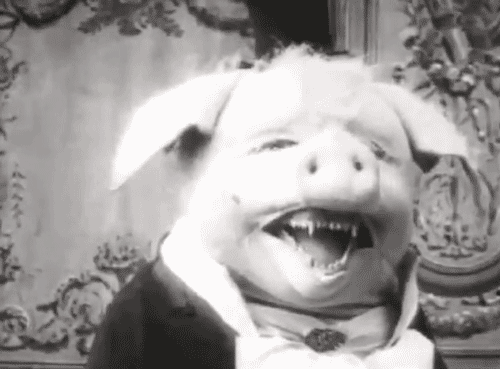 photo dancing-pig_zps22911d1b.gif