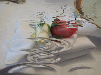 00py052qiWc.gif